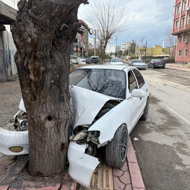 Ehliyetsiz sürücünün kontrolünü kaybettiği otomobil ağaca çarptı... O anlar...