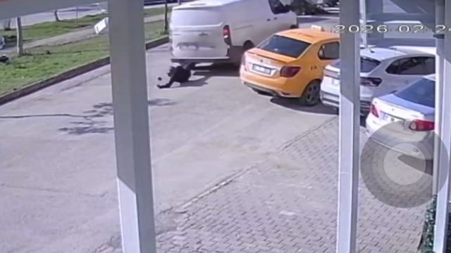 Yolun ortasında cep telefonu ile ilgilenen yayaya kamyonet çarptı