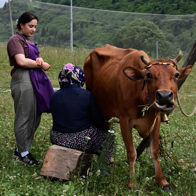 MEMLEKET SOFRASI - Hamsiköy sütlacı