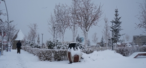 Erzurum'da kar yağışı etkili oluyor