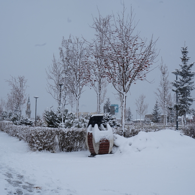 Erzurum'da kar yağışı etkili oluyor