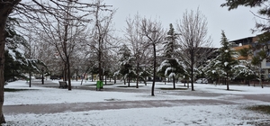 Malatya'da kar yağışı; taşımalı eğitime ara verildi