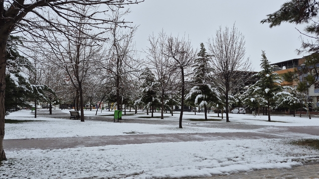 Malatya'da kar yağışı; taşımalı eğitime ara verildi