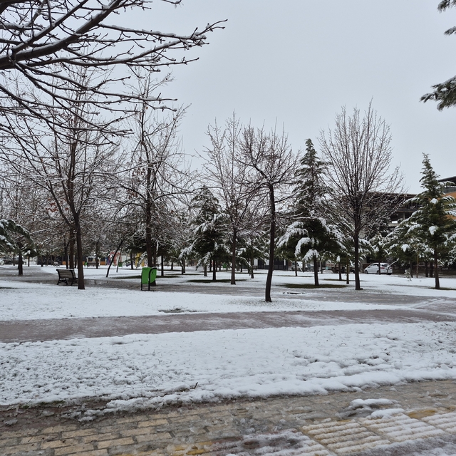 Malatya'da kar yağışı; taşımalı eğitime ara verildi