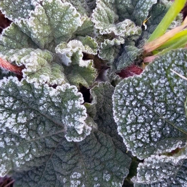 Muğla 5 gün soğuk havanın etkisinde olacak