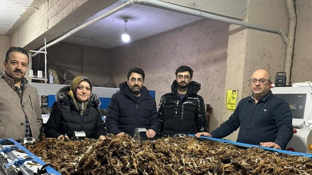 Erzurum'da atık yünler yeşil dönüşümle değer kazanıyor