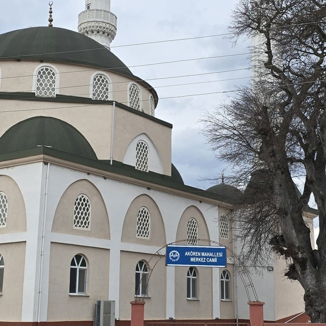 Samsun'da asırlık çitlembik ağacı için 'koruma' çağrısı