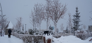 Erzurum, Erzincan ve Bayburt için kar uyarısı