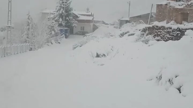 Doğu Karadeniz'de 371 köy ve mahalle yolu kardan kapandı