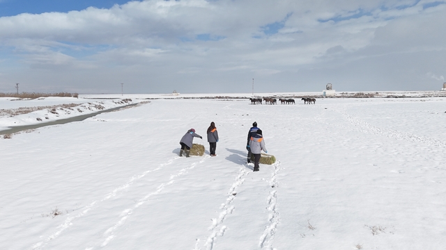 Büyükşehirden 'dilsiz dostlara' merhamet eli: Soğuk günlerde sıcak bir dokunuş