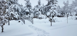 Hacılar Belediyesi ekipleri karla mücadele için sahada