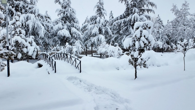 Hacılar Belediyesi ekipleri karla mücadele için sahada