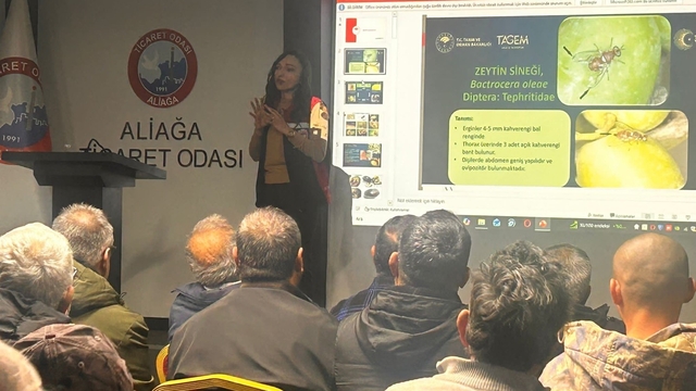 Aliağa'da tarımsal eğitimler aralıksız sürüyor
Aliağa'da zeytin üreticilerine budama eğitimi