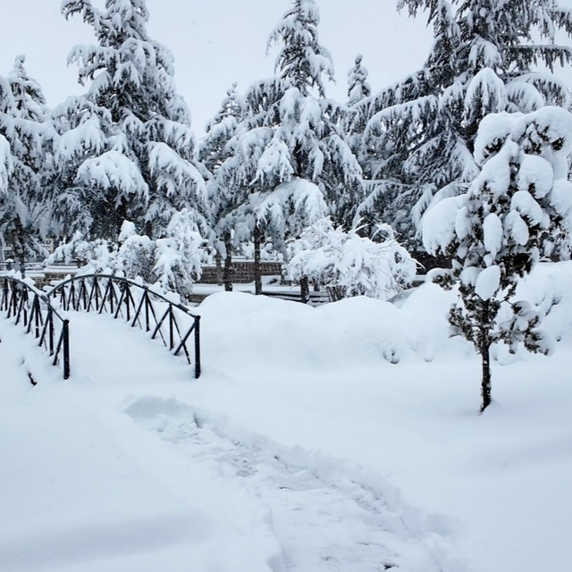 Hacılar Belediyesi ekipleri karla mücadele için sahada