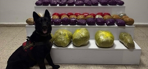 Van'da 31,5 kilo uyuşturucu ele geçirildi