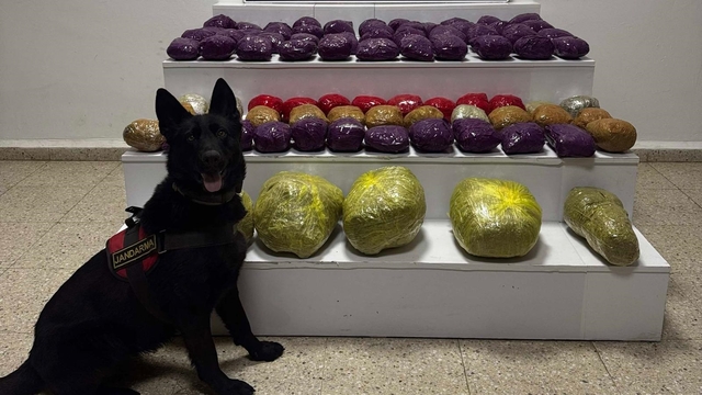 Van'da arazide 31 kilo uyuşturucu ele geçirildi