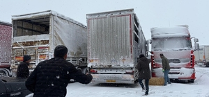 Erzincan’da yolda kalan 200 büyükbaş hayvana yem takviyesi