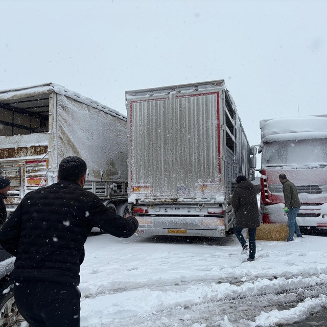 Erzincan'da yolda kalan 200 büyükbaş hayvana yem takviyesi