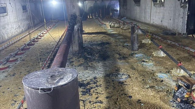 Bolu'da kümes yangını büyümeden söndürüldü