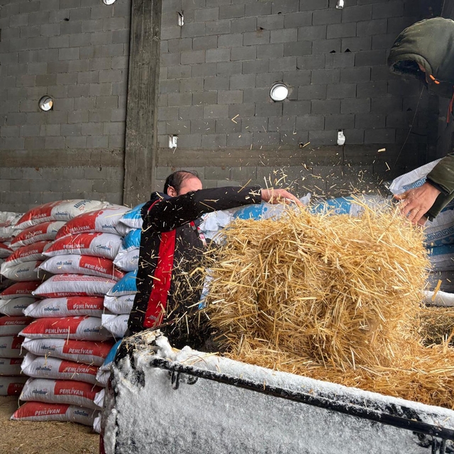 TIR'larda mahsur kalan 200 büyükbaşa yem desteği