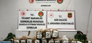 Maydanoz ve dereotu yüklü TIR'dan 51 kilo esrar çıktı