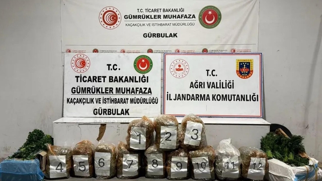 Maydanoz ve dereotu yüklü TIR'dan 51 kilo esrar çıktı