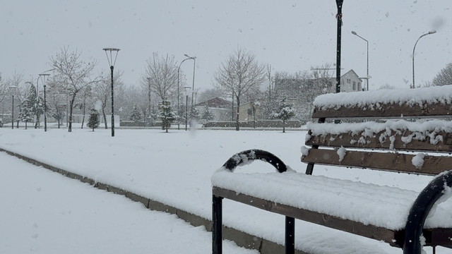 Tatvan'da kar yağışı