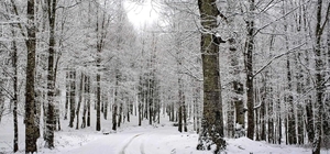 Ordu'nun 15 ilçesinde eğitime kar engeli