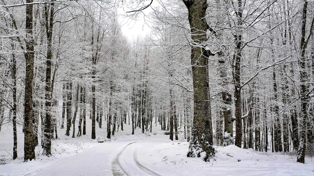 Ordu'nun 15 ilçesinde eğitime kar engeli
