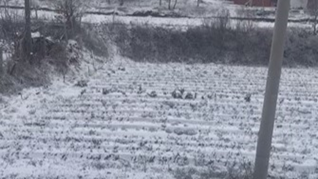 Aydın'ın yüksekleri beyaza büründü