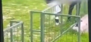 Bodrum'da akran zorbalığı: Çocuğu feci şekilde darbederek bayılttı