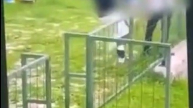 Bodrum'da akran zorbalığı: Çocuğu feci şekilde darbederek bayılttı