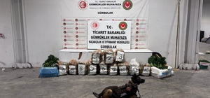 Ağrı’da Gürbulak Sınır Kapısı’nda 51 kilo 520 gram esrar ele geçirildi