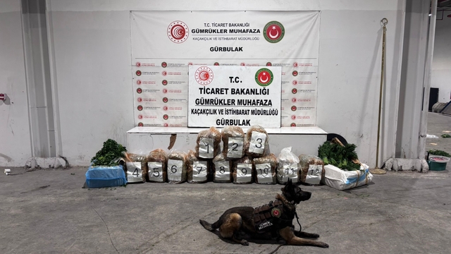 Ağrı'da Gürbulak Sınır Kapısı'nda 51 kilo 520 gram esrar ele geçirildi