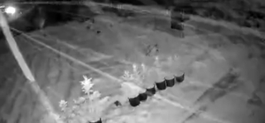 Çankırı’da kar yağışı etkili oluyor