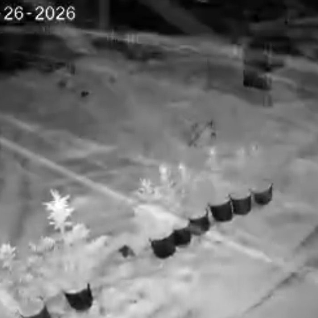 Çankırı'da kar yağışı etkili oluyor