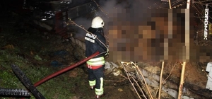 Ordu’da ahır yangını: 27 büyükbaş hayvan telef oldu