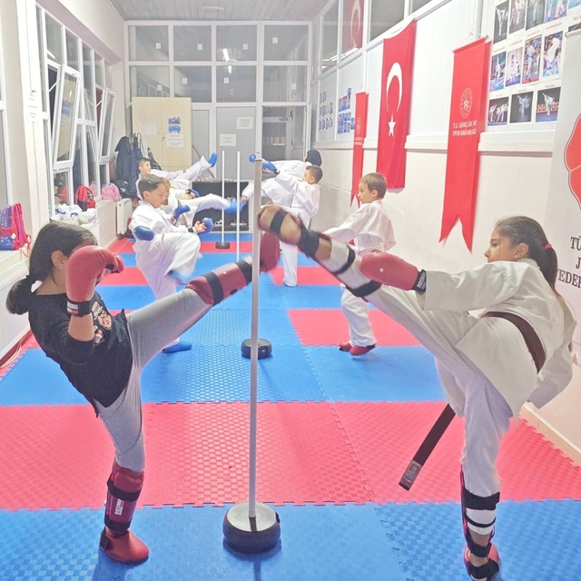 Bilecik'te spor okullarında karate eğitimleri sürüyor