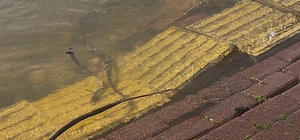 Yaren leyleğin köyü de yükselen göl sularından etkilendi