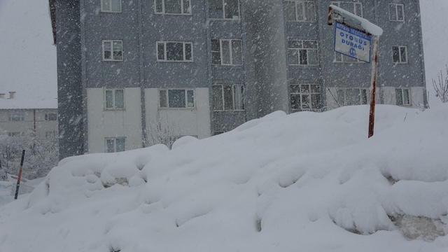 Bitlis'te 304 köy yolu kar nedeniyle ulaşıma kapandı