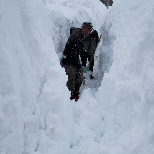 Ovacık'ta besicilerin zorlu kış mesaisi: Hayvanları suya götürmek için metr...