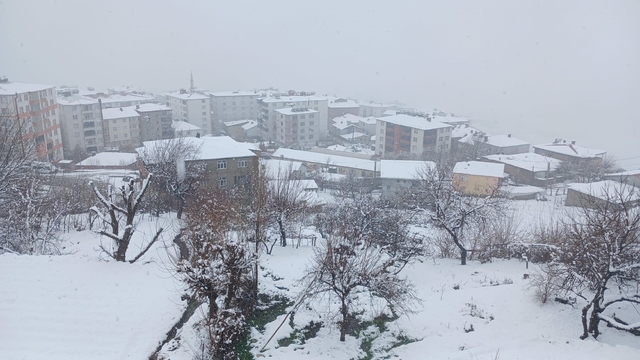 Kulp'ta kar yağışı etkili oldu, ilçe beyaza büründü