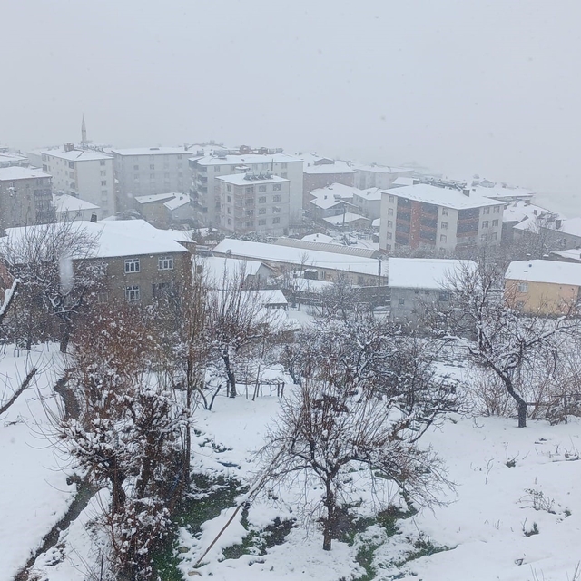 Kulp'ta kar yağışı etkili oldu, ilçe beyaza büründü