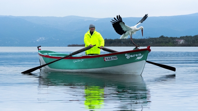 Yaren Leylek ile Adem Amca, 15'inci kez buluştu; gelen Nazlı değil, Yaren'miş
