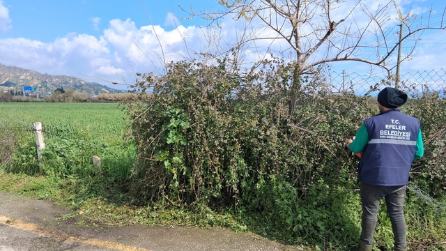 Efeler'in yeşil alanlarında temizlik çalışması sürüyor