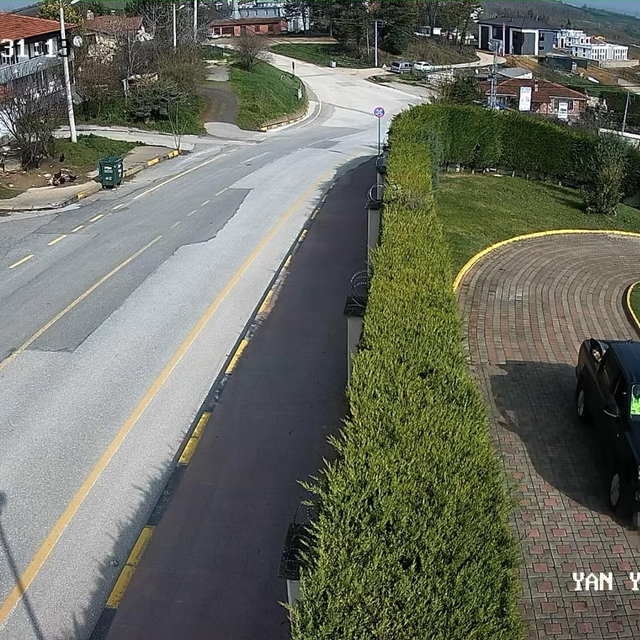 Sakarya Valiliği'nden 'köpek' ölümüne ilişkin açıklama