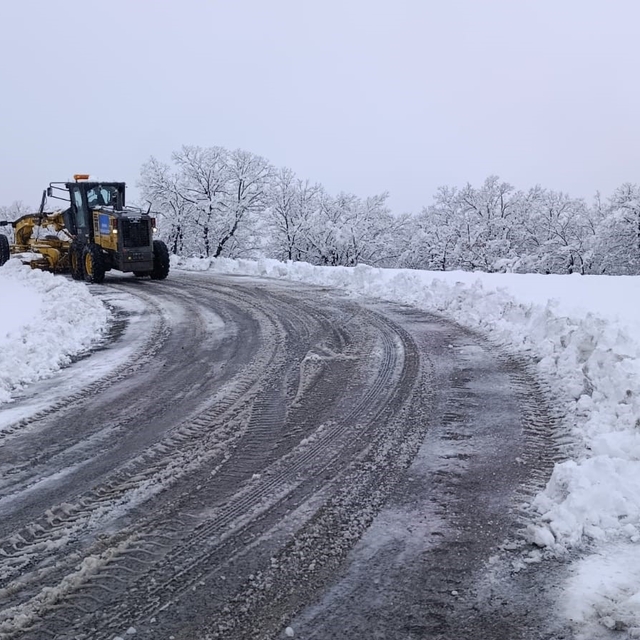 Kulp'ta kar nedeni ile kapanan yolları açılıyor