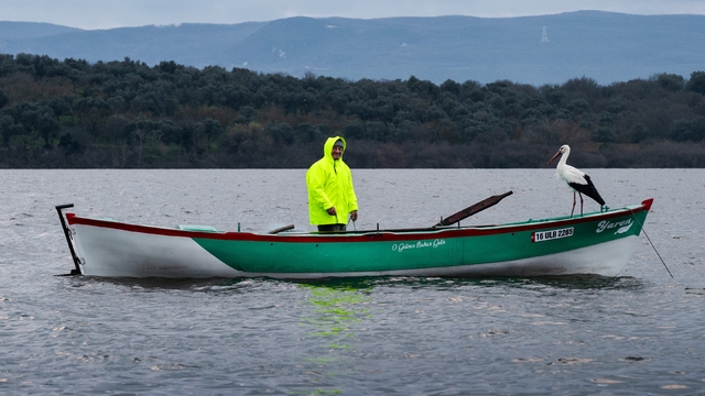 Kayığa konunca gerçek ortaya çıktı
Gelen leylek Nazlı değil, Yaren'miş
Adem amca ile Yaren leyleğin 15'inci buluşması gerçekleşti