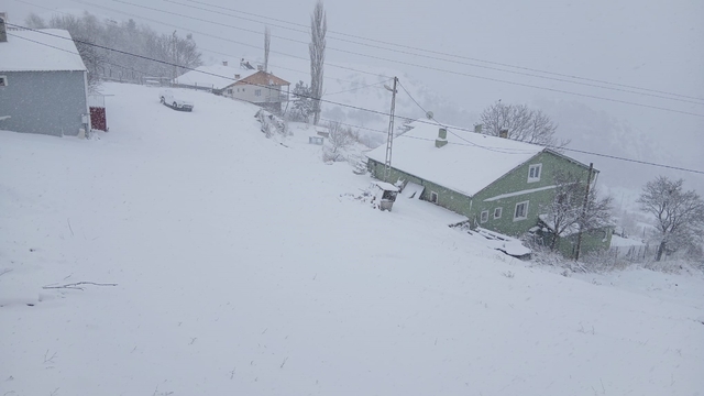 Posof'ta kar esareti