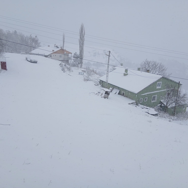 Posof'ta kar esareti